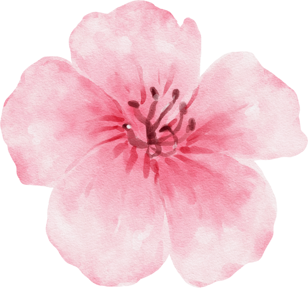 Pink Flower Watercolor