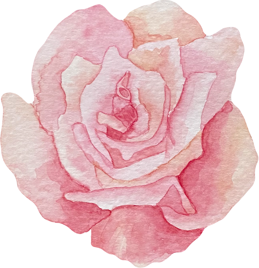 Watercolor Rose Illustration